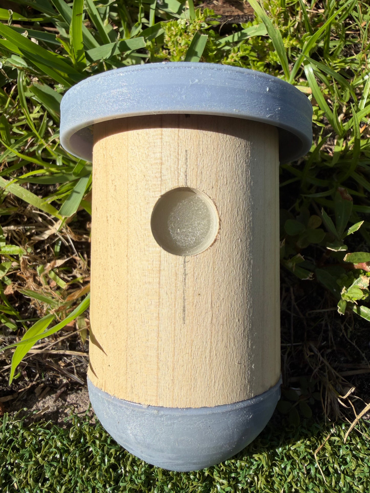 Termite Bullet